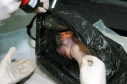 أم عزباء تخنق طفلتها بمنشفة وترميها في مزبلة