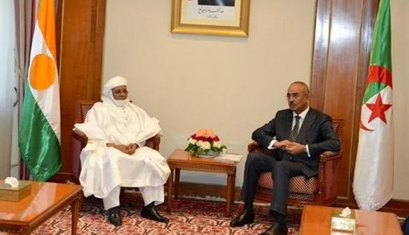 بدوي يستقبل نظيره النّيجيري والمسائل الأمنية في المنطقة محل تشاور