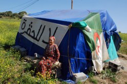بابا حسن: السلطات المحلية تهدم سكنات بمستثمرة فلاحية دون سابق انذار