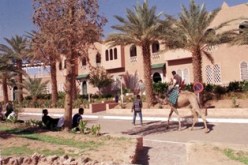 استدعاء الأمين العام لولاية بشار ومدير الري.. ورؤوس كبيرة مهددة بالسقوط