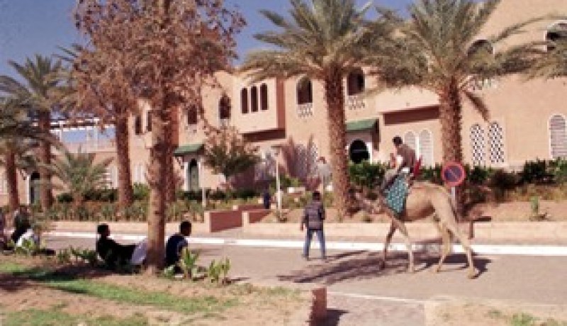 استدعاء الأمين العام لولاية بشار ومدير الري.. ورؤوس كبيرة مهددة بالسقوط