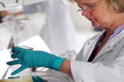 رصد بكتيريا إي كولاي في مجرى جدول مائي قرب فرانكفورت