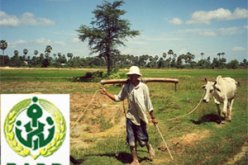 توكيل محامي لرفع دعوى قضائية ضد مدير ''بدر'' بنك