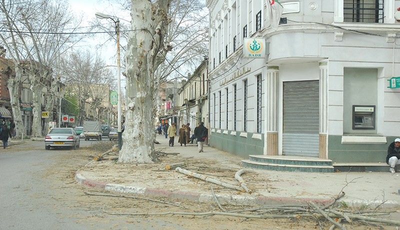 مدير وكالة «بدر» السابق ببئر خادم وقابضين متهمون بالتلاعب بأموال الصندوق الأوتوماتيكي