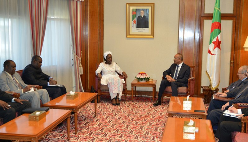 بدوي يستقبل الوزيرة المالية للشؤون الخارجية والتعاون الدولي