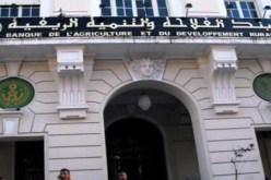 278 عقد نجاعة لدفع نشاطات التنمية الريفية في سكيكدة