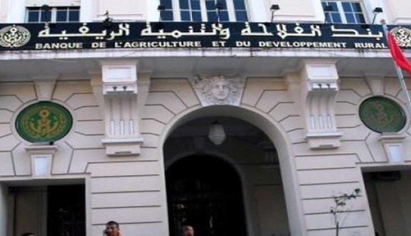 278 عقد نجاعة لدفع نشاطات التنمية الريفية في سكيكدة