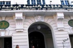 إعادة جدولة ديون المؤسسات الصغيرة و المتوسطة و مؤسسات قطاع الفلاحة و الصيد البحري معنية أيضا