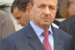 أربعة نجوم لحجاج الجزائر هذا العام