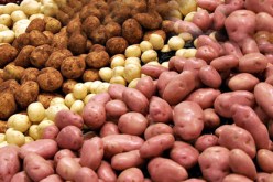 بن عيسى يحذر المهنيين من رفع أسعار البطاطا بعد أن بلغ إنتاجها 25 مليون قنطار