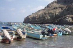 قرابة ستين مركبة صيد في حالة إهمال بمينائي عين تموشنت
