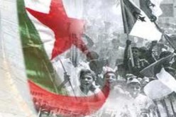 الثورة الجزائرية في منتدى الصور بباريس