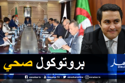 وزارة الشباب والرياضة تحدد شروط إستئناف الأنشطة الرياضية