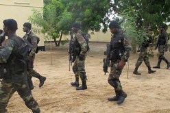 الجيش الكاميروني يعلن مقتل 100 من جماعة بوكو حرام وتحرير 900 رهينة