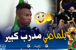 بالفيديو.. “بوداوي” يُثني على بلماضي !!