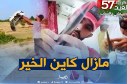 في سلوك انساني شاب من باتنة ينقذ طائر “النورس” من الموت