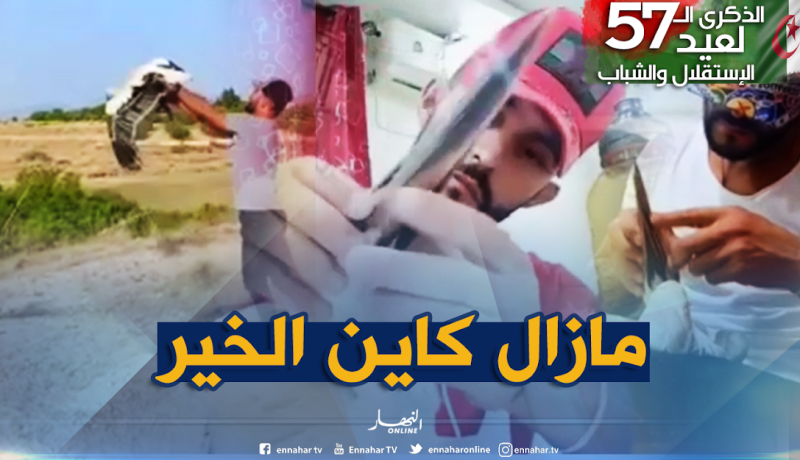 في سلوك انساني شاب من باتنة ينقذ طائر “النورس” من الموت