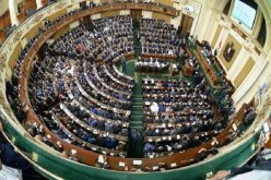 بالفيديو .. برلماني يضرب زميله توفيق عكاشة بالحذاء لمقابلته السفير الاسرائيلي