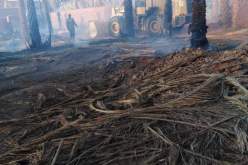 أدرار.. حريق يتسبب في إتلاف عدد من النخيل بالبساتين الفلاحية في تنركوك