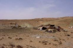 تصويت البدو الرحل وأفراد الجالية الجزائرية المقيمة بالخارج يستقطب اهتمام يوميات غرب الوطن