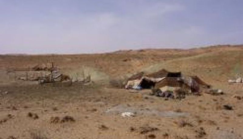 تصويت البدو الرحل وأفراد الجالية الجزائرية المقيمة بالخارج يستقطب اهتمام يوميات غرب الوطن