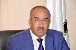 بدوي يغادر قمة تيكاد7 باليابان