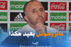 بالفيديو.. بلماضي:”في إفريقيا لا يُمكن الفوز بمثل هاته الطريقة”