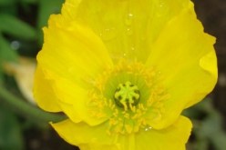 رغم جمالك‮.. ‬ابحثي‮ ‬في‮ ‬نفسك عما‮ ‬يقلل من شأنك في‮ ‬نظر الجنس الآخر