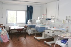 مجانية تحقيق حلم الإنجاب تستقطب عشرات الأزواج ''الزوالية'' من كل الولايات