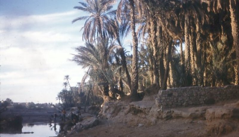 استكمال أشغال إعادة الاعتبار لوادي بشار لحماية المدينة من الفيضانات