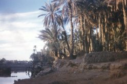 تأخر استكمال إنجاز ‮3 ‬جسور جرفتها سيول فيضانات أكتوبر ‮8002 ‬ببشار