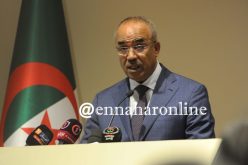 بدوي: الجزائر وصلت إلى مستوى عال من التنمية