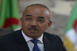 حملة إعادة الاعتبار للإطارات.. تبدأ عند بدوي