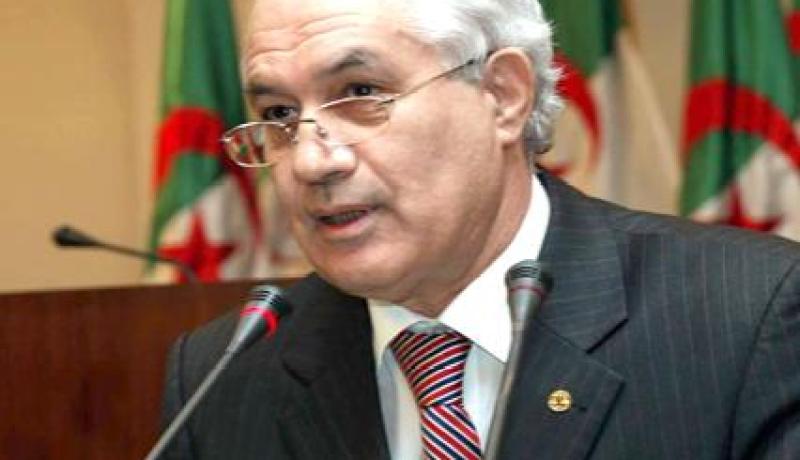 بلعيز :الحدود الجزائرية مؤمنة بشكل جيد