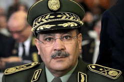 إنهاء مهام 5 قضاة من بينهم زوجة الجنرال الهارب بلقصير