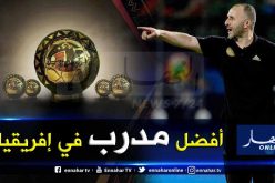 رسميا.. بلماضي أفضل مدرب في إفريقيا لسنة 2019
