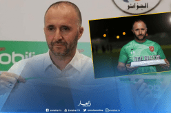 أنصار الدحيل يتحسرون على رحيل بلماضي