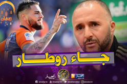 بلماضي: “الحظ عاكس ديلور هذه المرة وسيبقى في خدمة الخضر”