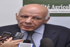 ملبنة الحضنة لا تدعم الاستيراد