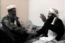 أشرطة بن لادن ، الظواهري ، الزرقاوي وسائل لكسب الفرائس الضائعة في صفوف التنظيم المسلح