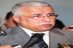 محمد بن مرادي: الملف المتعلق بانجاز مصنع تقطير الايتان بأرزيو يتقدم بشكل جيد