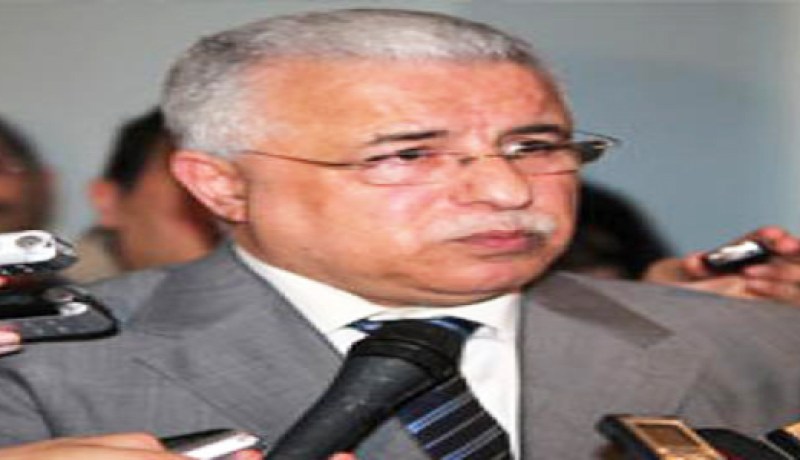 محمد بن مرادي: الملف المتعلق بانجاز مصنع تقطير الايتان بأرزيو يتقدم بشكل جيد