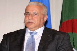 بن مرادي: النشاط التصنيعي سيسترجع 20 بالمائة من السوق الوطنية