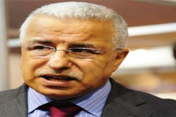 بن ميرادي‮ ‬مترجم‮ ‬الماريكان