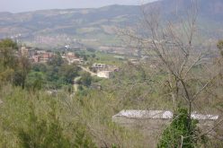 القضاء على إرهابي‮ ‬واسترجاع سلاحه ببن شود في‮ ‬بومرداس