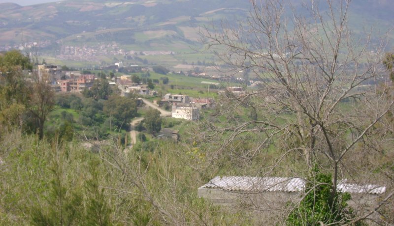 القضاء على إرهابي‮ ‬واسترجاع سلاحه ببن شود في‮ ‬بومرداس