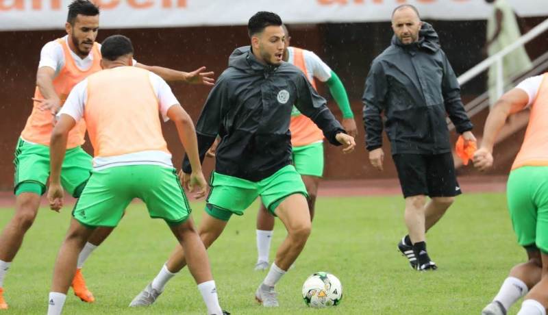 ترميم “الدفاع” أولوية “بلماضي” !