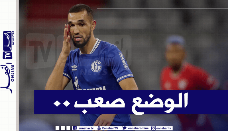 شالك 04 مُتخوف من ردة فعل بن طالب
