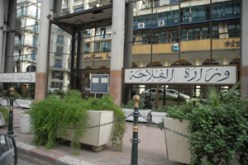 مدير ديوان الحبوب و أمينه العام يتستران على ملفات اختلاس أموال الدولة
