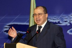 بركات: الحكومة ستشتري القمح من الفلاحين ابتداء من السنة الجارية وبالأسعار الدولية
